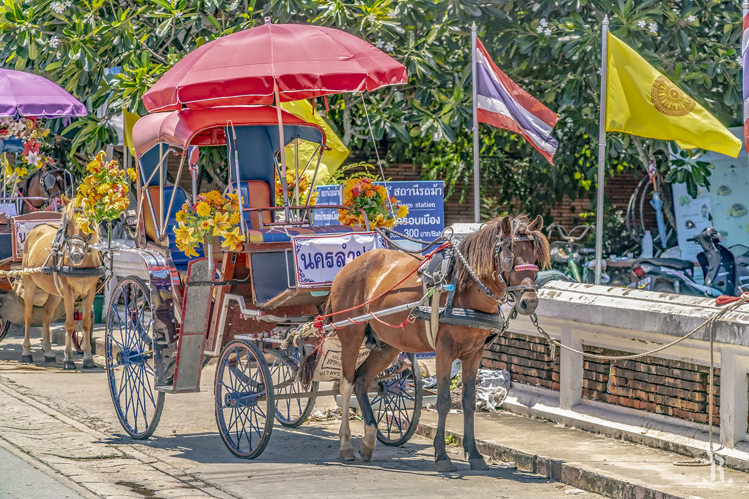 Carro de caballos en Tailandia (Tuk Tuk)